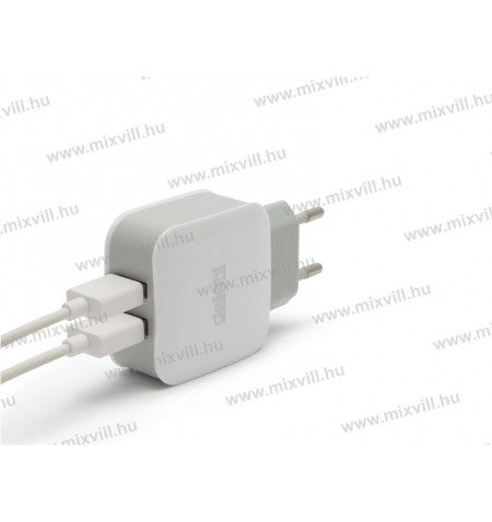 55045-2wh-usb-halozati-adapter-telefon-tolto