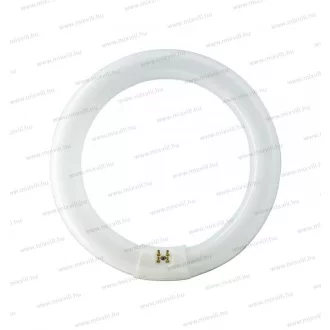   Philips 840/40 40W T9 4000k körfénycső G10q ("A" energiaosztály)