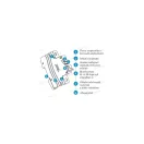 XBS 1 Pólusú 25A C kismegszakító