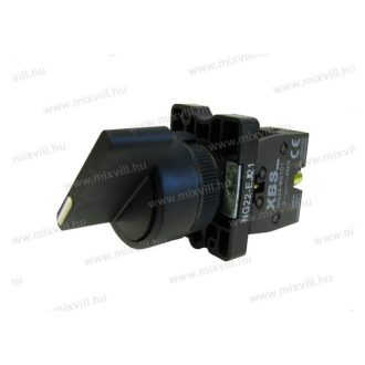 XBS NG22-EJ21 forgócsapos kapcsoló