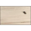 Celo 9TBBD BASEBRID, MŰANYAG DUPLA RÖGZÍTŐELEM KÖTEGELŐHÖZ 100db/cs