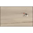 Celo 9TV8 MENETES RÚD CSATLAKOZÓ M8, SZEGBELÖVŐHÖZ 50db/cs