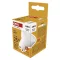 Emos ZL8F03 LED BASIC MR16 2.9W25W 250lm GU10 NW