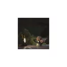 Emos ZS3322 Led reflektor hordozható 20W IP44 4000K 1900lm 1,5m táp kábel